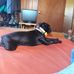 Robert Forster - Facebook