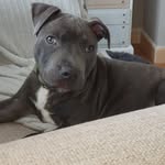 Robert forster - @robert.forster791 - Instagram