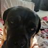 robertfoti370 - @robertfoti370 - TikTok