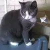Robert Fox - @robert.fox78 - TikTok