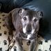 Rob Foxall - Facebook
