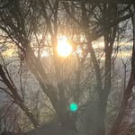 Robert Fred Turner Jr. - @red65772 - Instagram