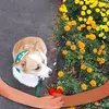 Carl Robert Freitag - @carl.robert.freit - TikTok
