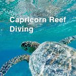 Robert Freitag - @capricorn_reef_diving - Instagram