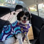 Robert Friedlander - @robert.friedlander.7 - Instagram
