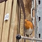 Robert Frigot - @frigotrobert - Instagram