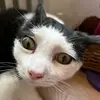 roberto_frigo67 - @roberto_carlos675 - TikTok