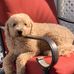 Robert Frink - Facebook