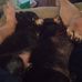 Robert Frink - Facebook