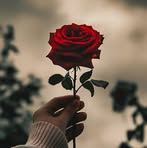 Faith Robert - Facebook