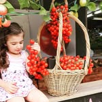 @robertson_fruit_shop - Instagram