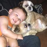 Robert Fulkerson - @robert.fulkerson.393 - Instagram