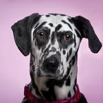 Rob Fullam - @robertjamesphotography2025 - Instagram
