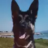 Robert Fullam - @robert.fullam - TikTok