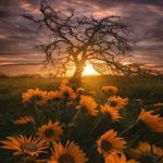 Robert Fusselman - @fusselmanrobert - Instagram