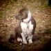 Robert Fusselman - Facebook
