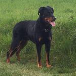 Robert Gaida - @robert.gaida - Instagram