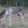 Robert Gaither - @robert.gaither8 - TikTok