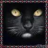 Robert Gallon - @2159626112 - TikTok
