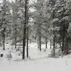 Robert Gamble - @robertgamble00 - TikTok