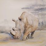Robert Gardner - @happenstance_collection - Instagram