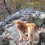 Robert Gardner - Facebook