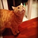 @robertgarfield - Instagram