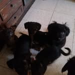 Robert Garon - @robert.garon.56 - Instagram