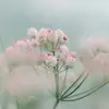 Robert Garson - @robertgarson9421 - TikTok