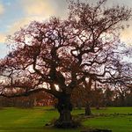 Brian Robert Gassaway - @brian_r_gassaway - Instagram
