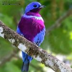 Robert Gathogo - @robert.gathogo.92 - Instagram