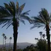 Robert Gavaldon - @robert.gavaldon - TikTok