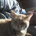 Robert Geck - Facebook