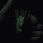 Roberto Gedeón - @robertgedeonhr - Instagram