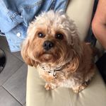 Robert Gee - @gee3944 - Instagram