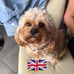 Robert Gee - Facebook
