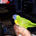 Rob Gemmill - Facebook