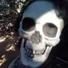Robert Gertler - @robert.gertler - TikTok