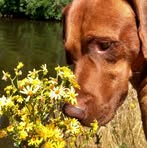 Robert Giesen - Facebook
