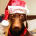 Tim Jenny - Facebook