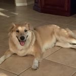 Robert Gilbert - @rgilbert3328 - Instagram