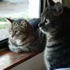 Robert Gildea - @2184917862 - TikTok