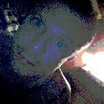 Robert Eugene Giller - @robert.giller.505 - Instagram
