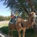 Robert Gillette - @robertgillette50 - Instagram
