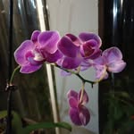 Robert Gillette 974 - @robertgillette974 - Instagram