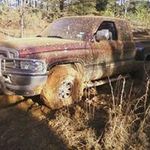 Robert Gilliland - @robert_gilliland - Instagram