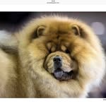 Robert Gingras - @robert.gingras.37 - Instagram