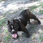 robertglanton - @robertglanton1 - Instagram