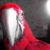 roro - @robertglasberg6 - TikTok