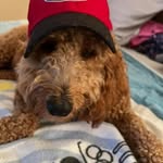 Robert Glider - @gliderrobert - Instagram